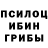 Псилоцибиновые грибы Psilocybe Liza Gera