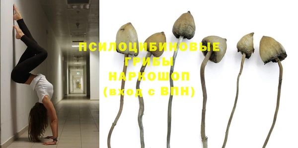 синтетический гашиш Белокуриха