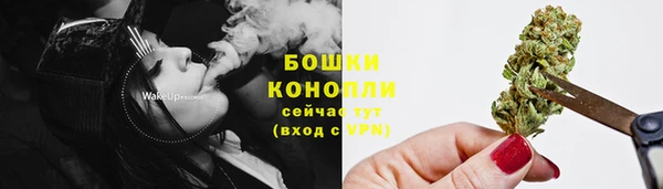 индика Богородицк