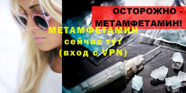 индика Богородицк