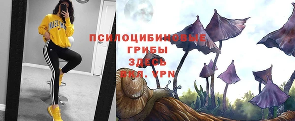 apvp Богородск