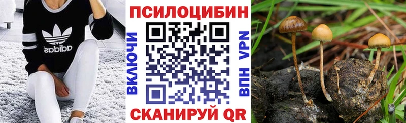 Галлюциногенные грибы мицелий  блэк спрут   Трёхгорный 